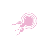 Embryology-Icon