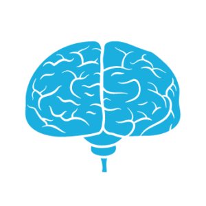 brain icon 342 | drbeen